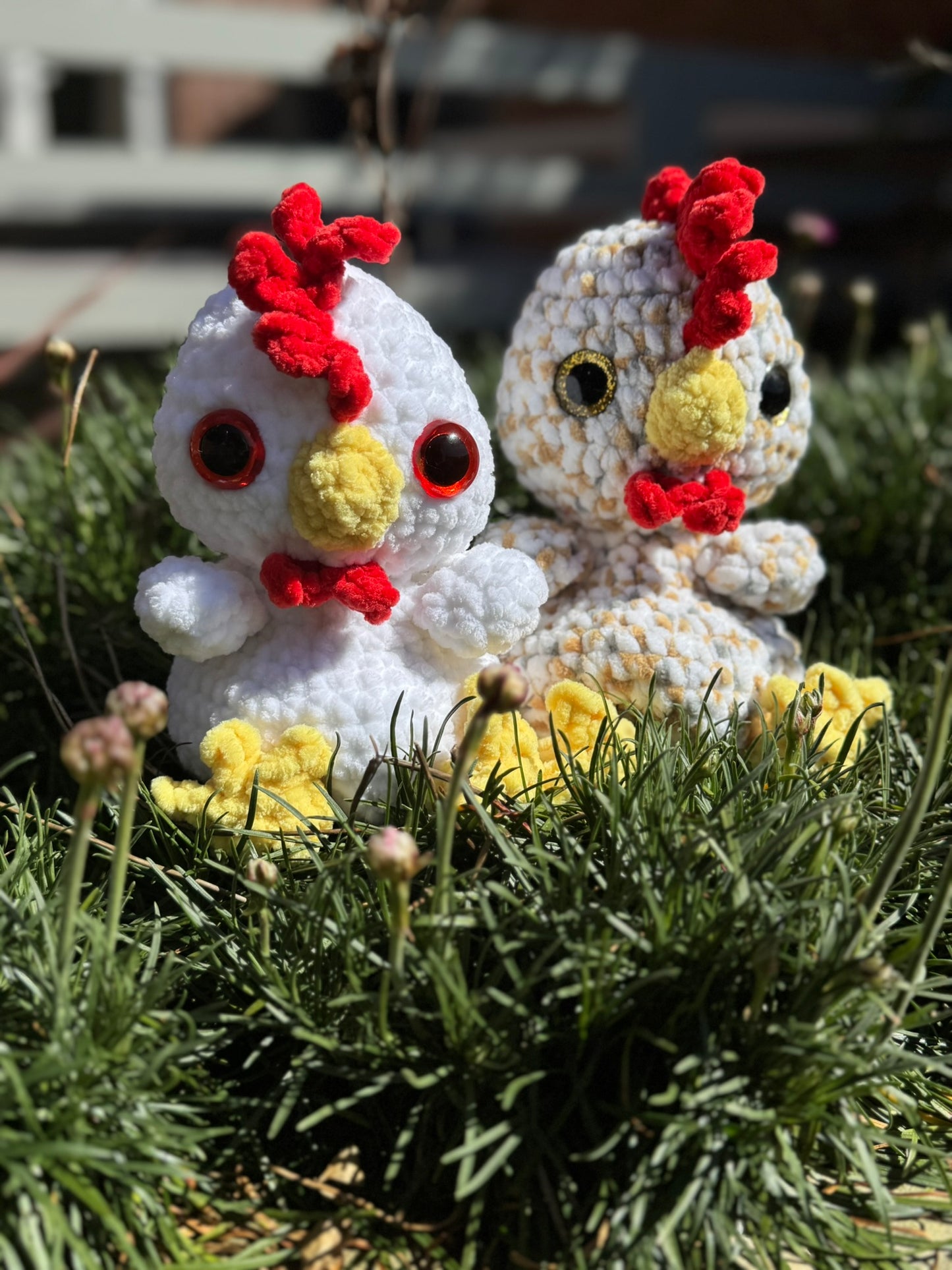 Chicken Beanie Pal