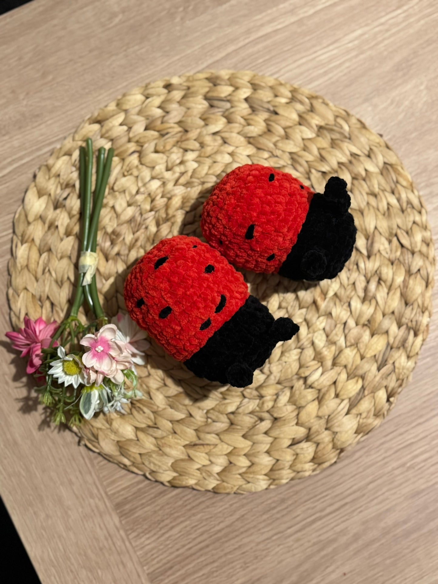 LadyBug Crochet Pattern - Digital Download Only
