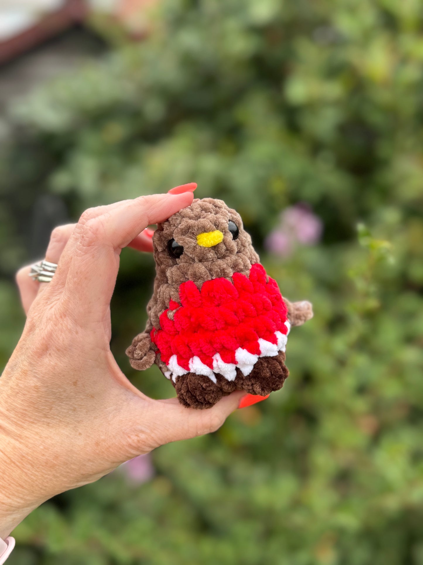 Mini Robin