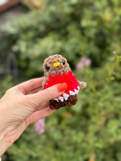 Mini Robin