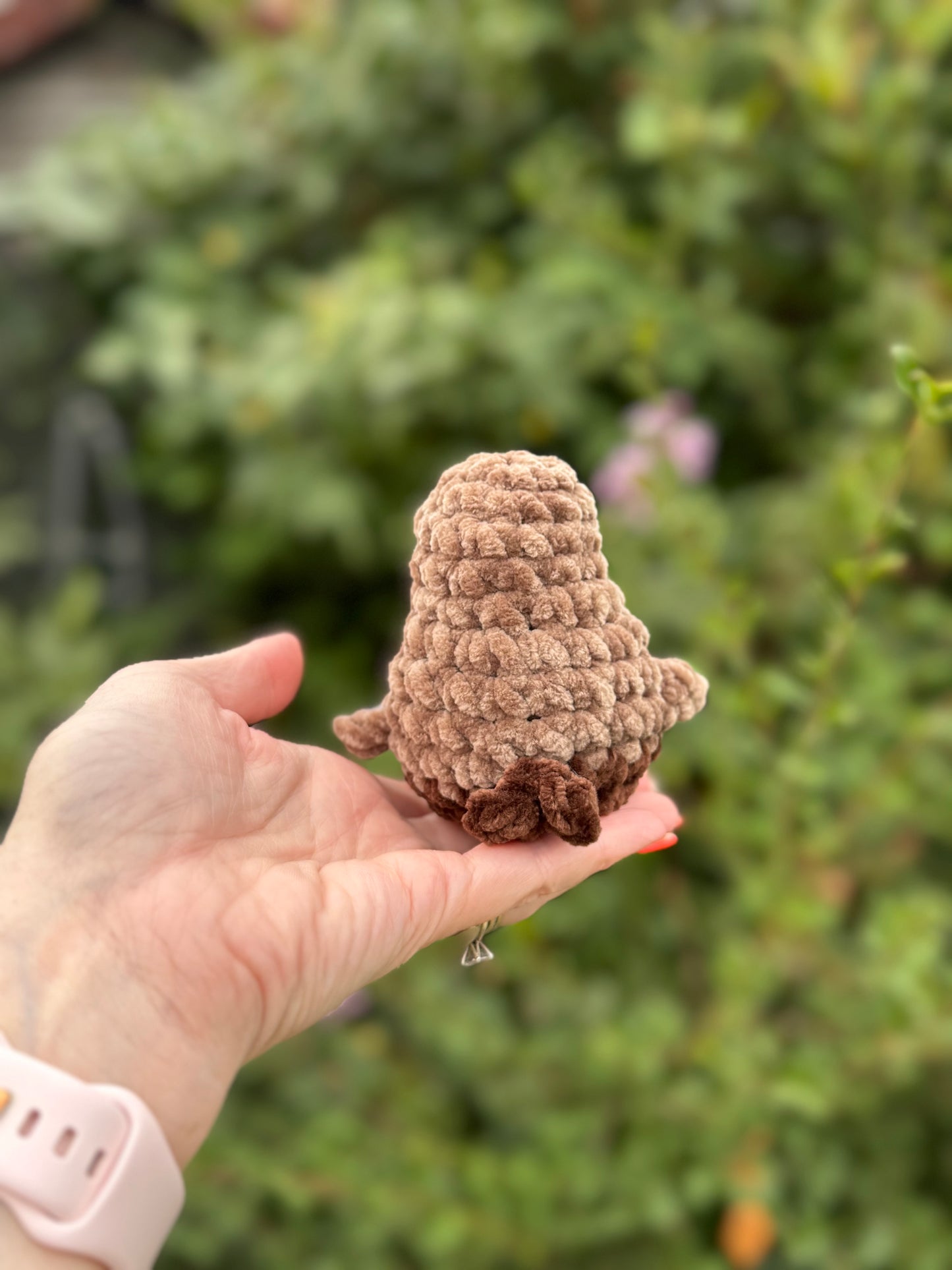 Mini Robin
