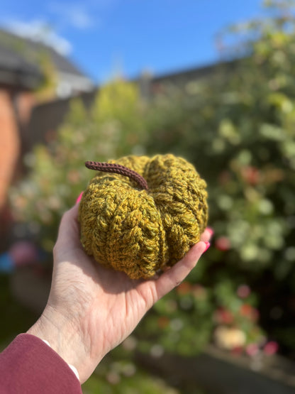 Crochet Autumn Pumpkin