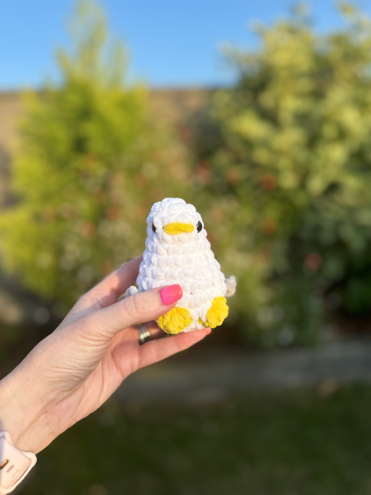 Mini Seagull