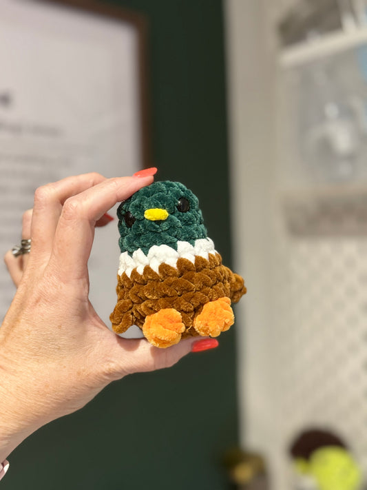 Mini Mallard Duck