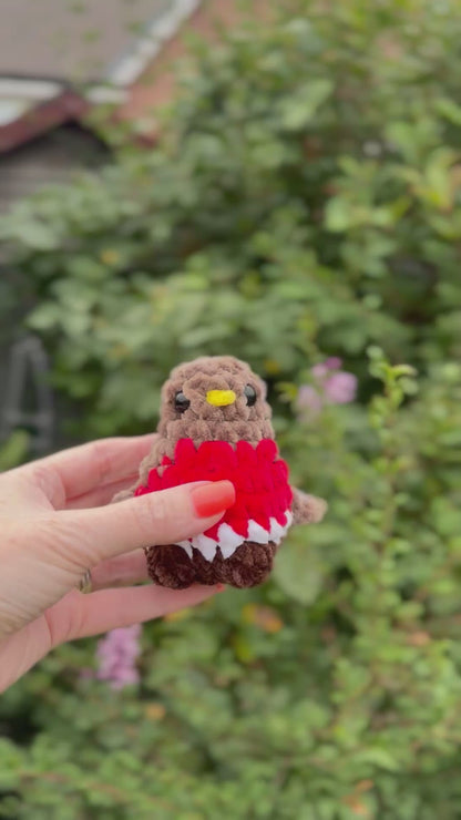 Mini Robin